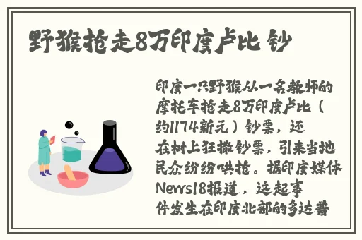 久久99精品久久久久久hb无码