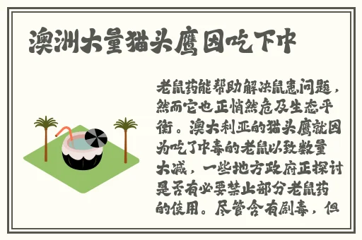 蘑菇mogu成人